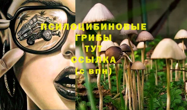 круглые Алзамай