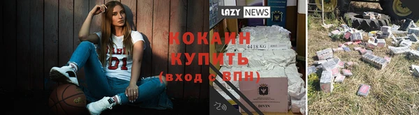 круглые Алзамай