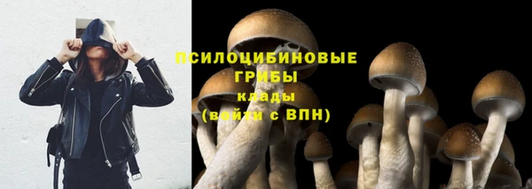 круглые Алзамай