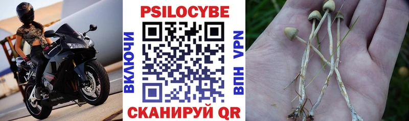 OMG сайт  Амурск  Псилоцибиновые грибы GOLDEN TEACHER 